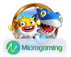 Micro Gaming